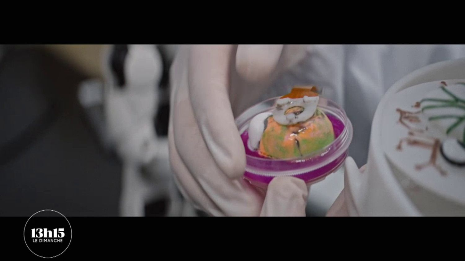 Geleceğin Robotları: İnsan Beyin Hücrelerinden Doğan Organoid Zeka ile Yönetiliyor